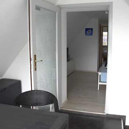 Muschel Apartment Zingst Exterior photo
