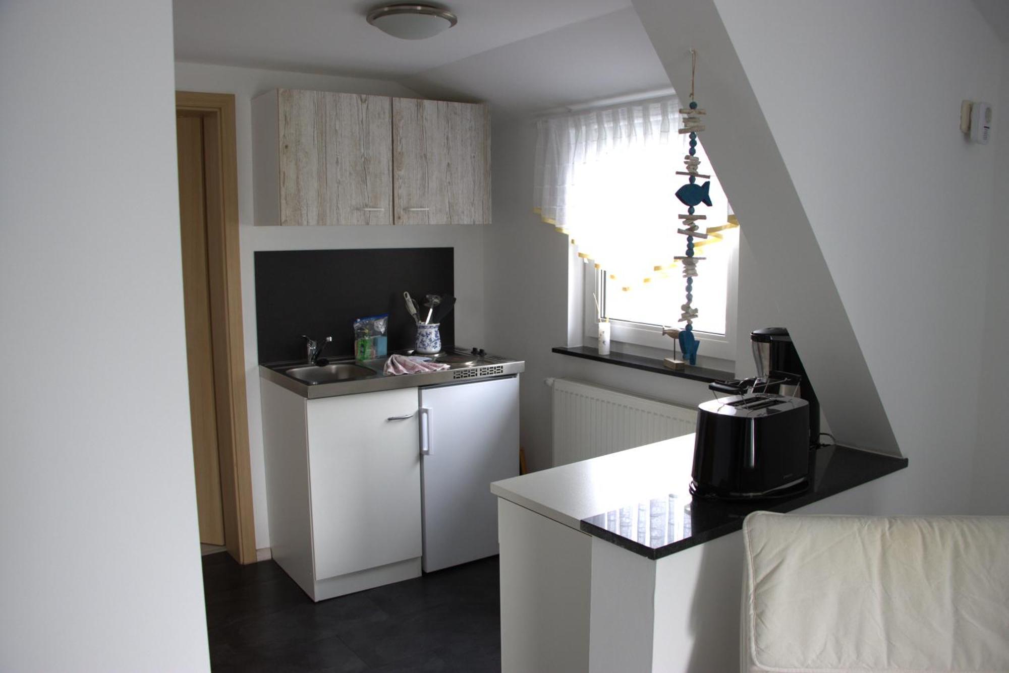 Muschel * Zingst